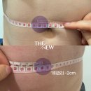 메스티(MESTY) 네이버블로그