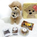 곡식이네 수제간식 이미지