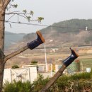 장화운동장 이미지