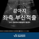 부신메디칼 이미지