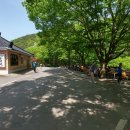 종무목장 | 바다 없는 서산 여행