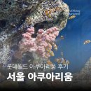 롯데월드아쿠아리움 | [잠실 놀거리] 롯데월드 아쿠아리움 방문 후기 | 벨루가부터 귀여운 카피바라까지 힐링 데이트