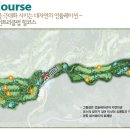 포레스트힐cc 이미지