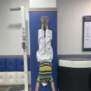 한류 태권도장 이미지