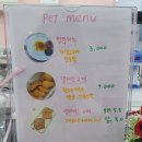 멍꾸러기 이미지