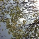 밤골가든 이미지