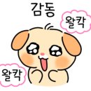 아이맥스안경원 이미지