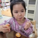 신희농장 이미지