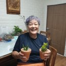 협심경로당 이미지