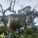 동그라미펜션 이미지