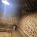 스테이오로지 이미지