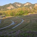 (주)골든아워이피티씨 | 2026 불암산 철쭉제 완벽 정리 | 기간·위치·주차·꿀팁 총정리 (4월 직접 다녀온 후기)