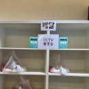 어우러져 | 제주 맛집 <이재모피자> 웨이팅 없이 즐긴 토요일 포장 솔직 후기