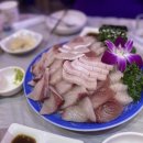 완도2호선 네이버블로그
