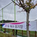 월드컵빌리지 축구장 인조 이미지