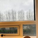 밸런스 힐링 요가 이미지