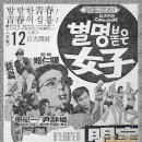 미쓰촌닭