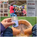 장대들길 이미지