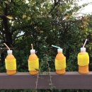 팔월의라 민박 이미지