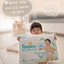 글로벌키탑 | 여름엔 팸퍼스 2026 터치 오브 네이처 썸머팬티 오가닉 순면 기저귀 후기
