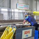 재활용선별장 이미지