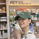 나인동물의료센터 이미지