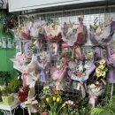 신성림약국 이미지