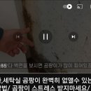 벽지,베란다곰팡이 제거방법 이미지