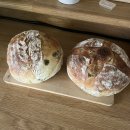 그린올리브 이미지