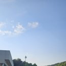 평택카페 &#39;시숲&#39; 평택 데이트,대형카페 방문하기 좋은곳