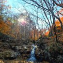 삼성궁 | 경남 단풍명소 하동 삼성궁 방문후기