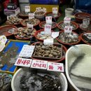 베리팜펜션