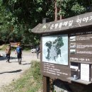서울둘레길 7코스 봉산ㆍ앵봉산 코스 역방향 - 고즈넉한 능선 산책길, 봉산구간 이미지