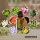 브로칸트 하우스 이미지