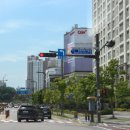 동탄대로시범길 이미지