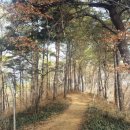 구불5길(물빛길) 이미지