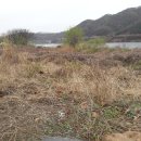 금가면사무소 이미지