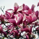 진성 마을회관 이미지