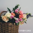 김밥마녀 이미지