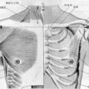 스마일365한의원 이미지