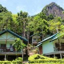 호텔정글(jungle) 이미지