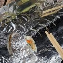 원터2길 3 이미지