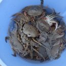 바닷가우리집 이미지