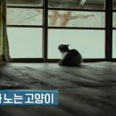 [방구석1열] 영화 리틀 포레스트 한국과 일본의 차이점 이미지
