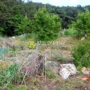 부여노인요양원 이미지