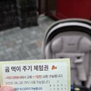 세종환경정비 | 22개월 아기와 세종 베어트리파크 다녀온 후기