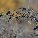 최정산 누리길 이미지