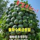 성하 - 장흥군 | 성하