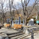 해맞이동산 이미지