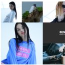폼헤어 - 포항시 남구 | 폼헤어